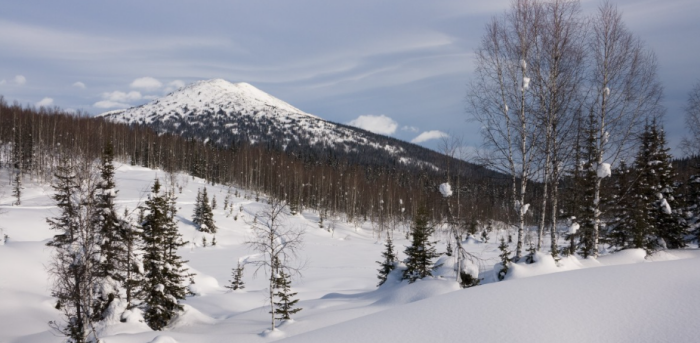 На фотографиях дикие места, конечно, выглядят красиво / Фото: pxhere.com