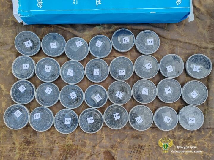    Фото:Пресс-служба прокуратуры Хабаровского края