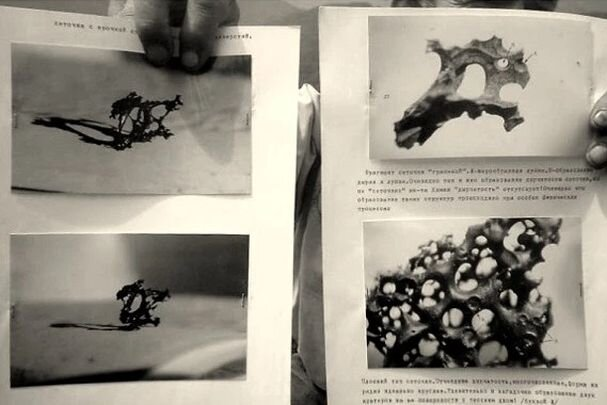 Фото найденных на горе образцов