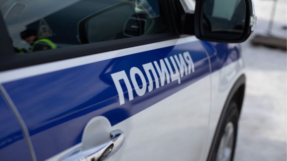    Полиция. Источник: Анна Меньшикова, Толк