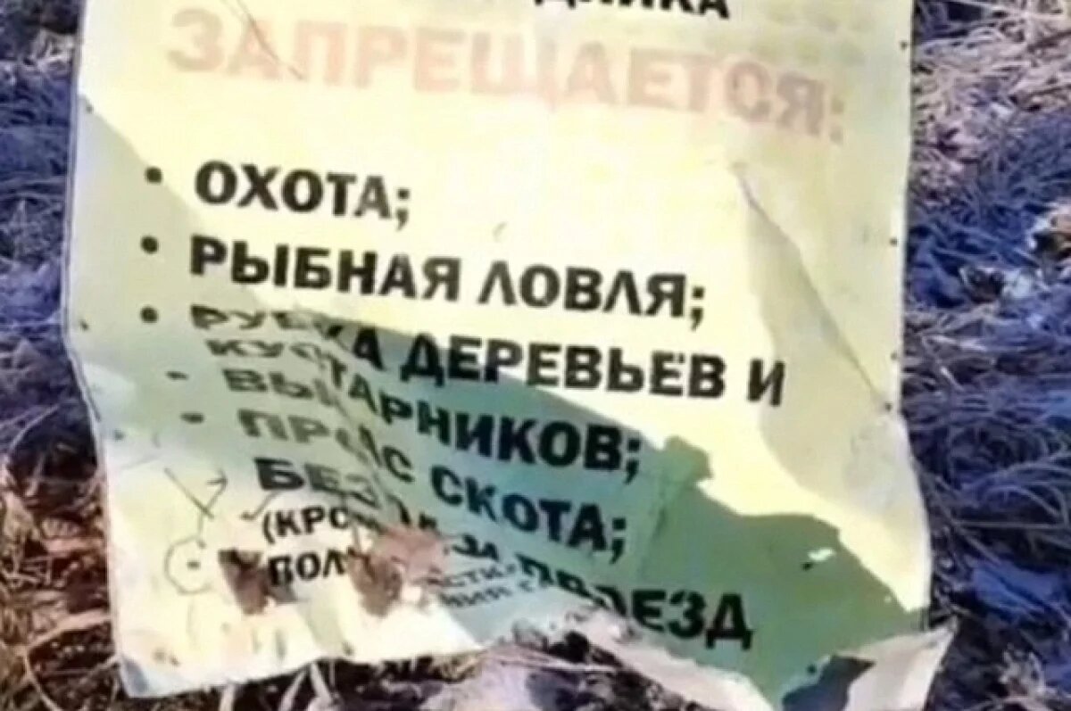    Лось в заповеднике «Шульган-Таш» стал вандалом