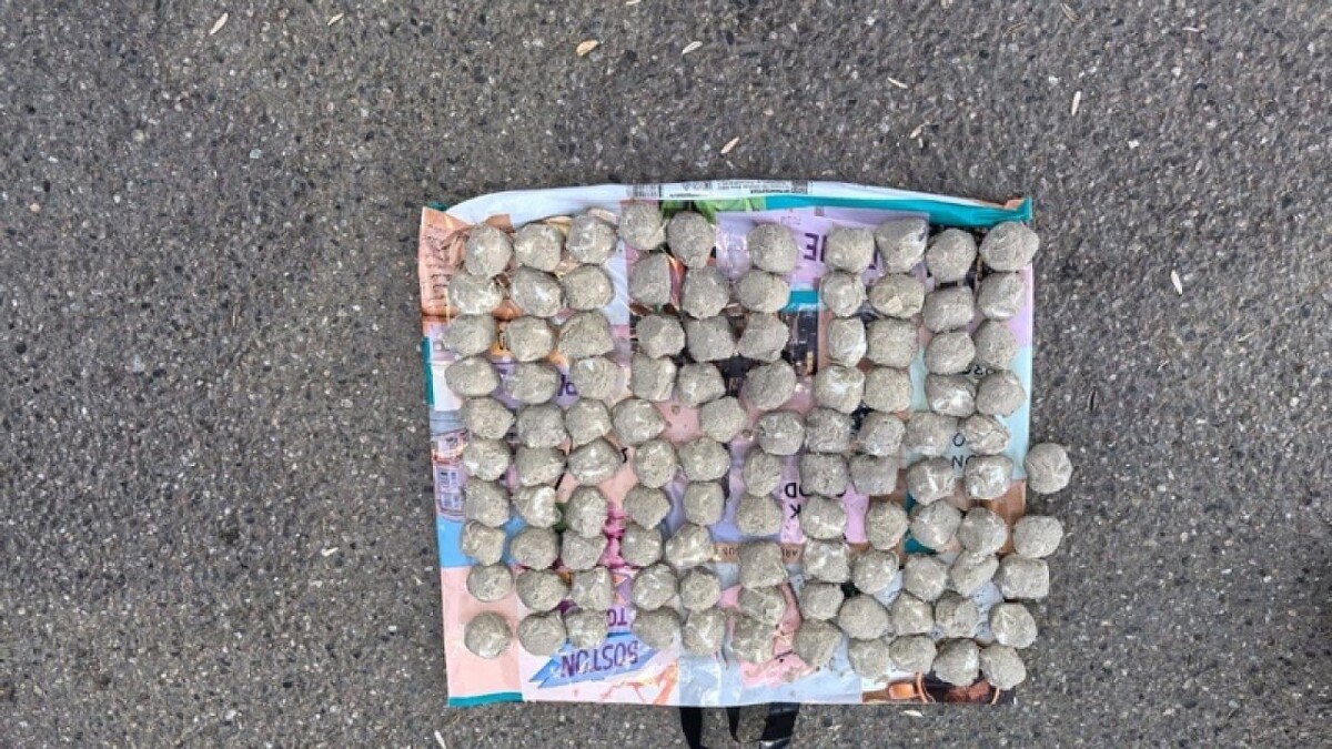    Фото: пресс-служба ГУ МВД России по Краснодарскому краю