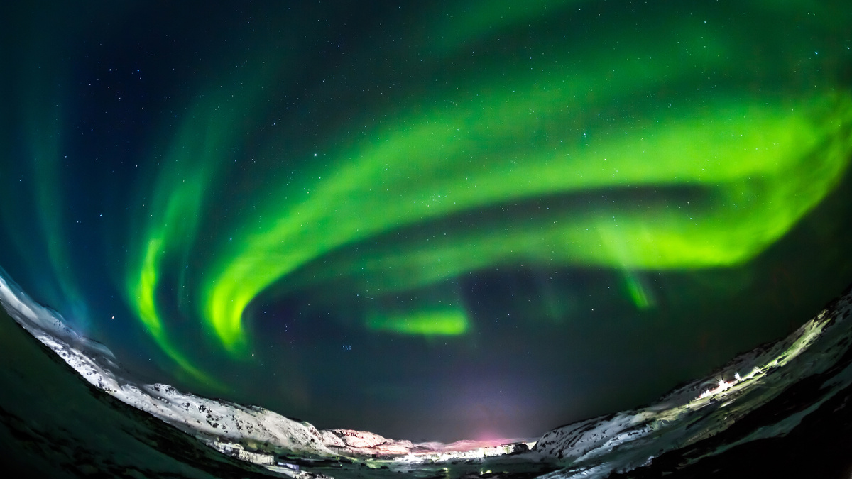     Фото: Kotomiti Okuma/Shutterstock/FOTODOM Зеленый — самый распространенный цвет