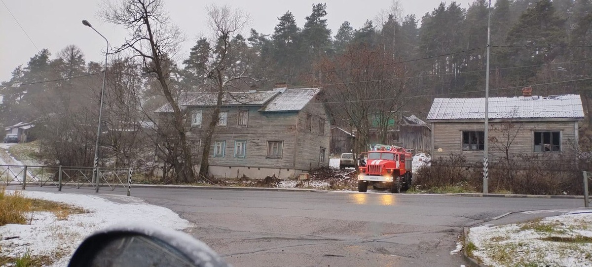    Фото: Госкомитет Карелии по ОЖ и БН