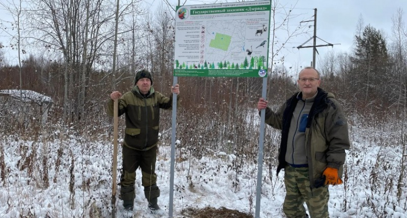    Спасти северного оленя: в новом заказнике в Коми установлены пять защитных аншлагов