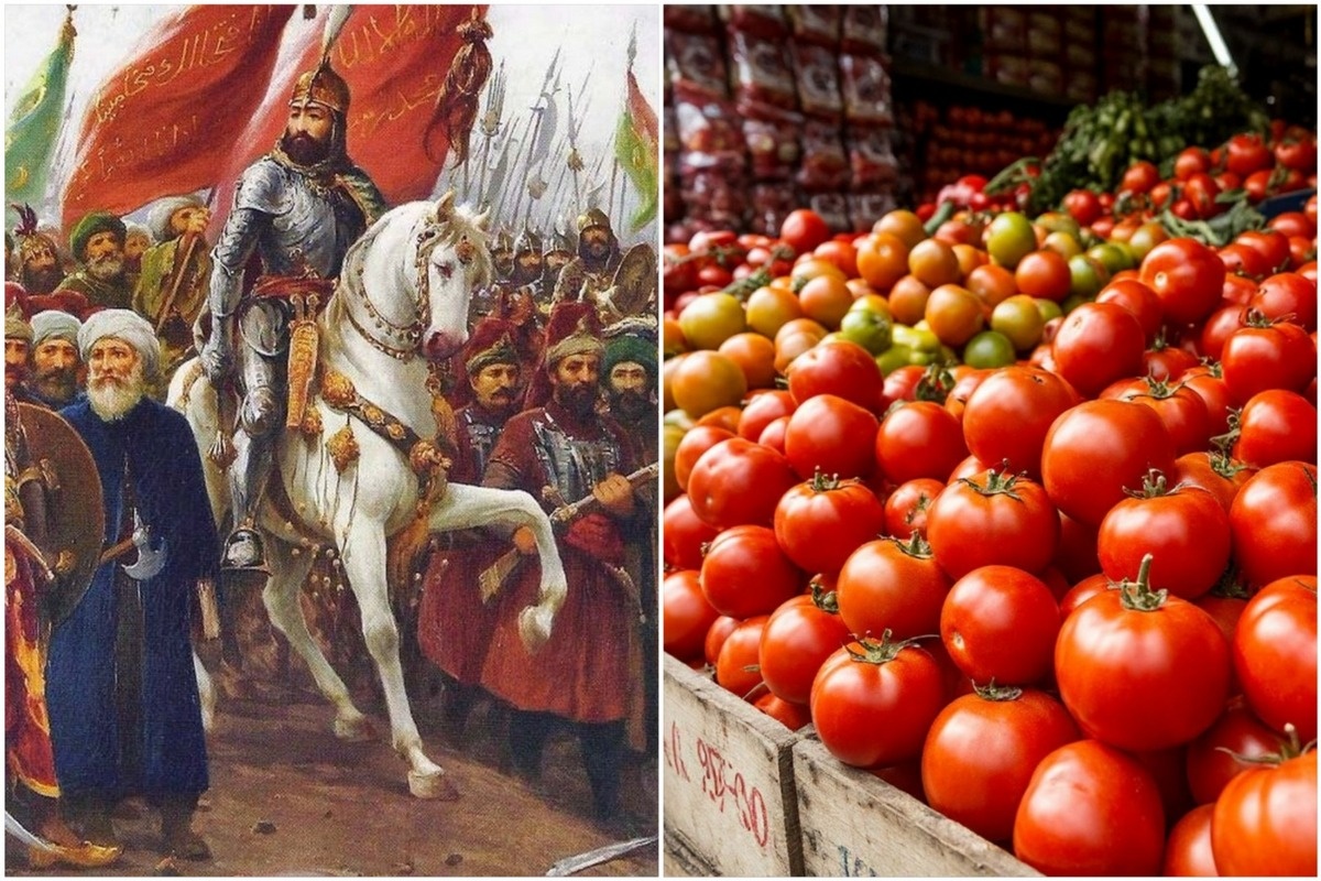    Фото: коллаж RuNews24