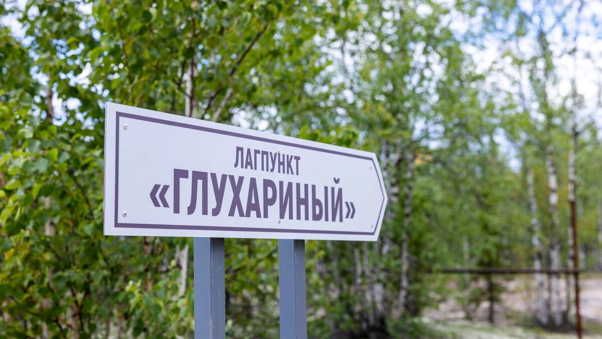    Фото: Федор Воронов/«Ямал-Медиа»