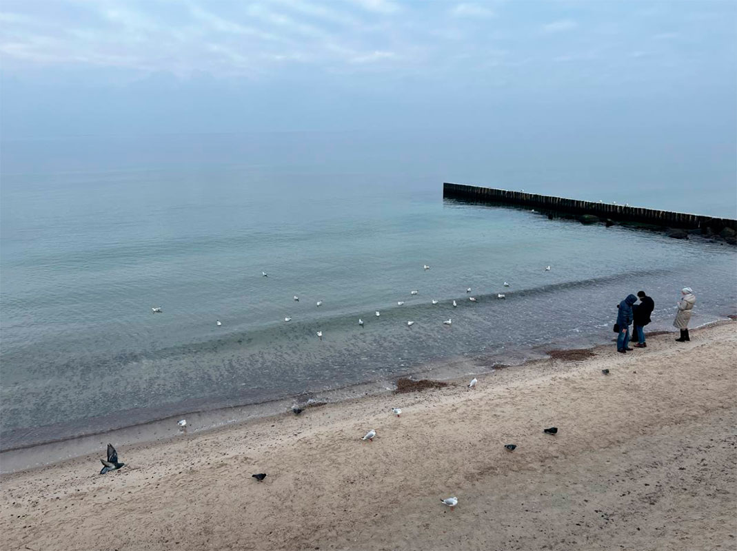 Наибольшая вероятность осадков – у побережья.  Фото: Фото: ФедералПресс / Анна Крючкова