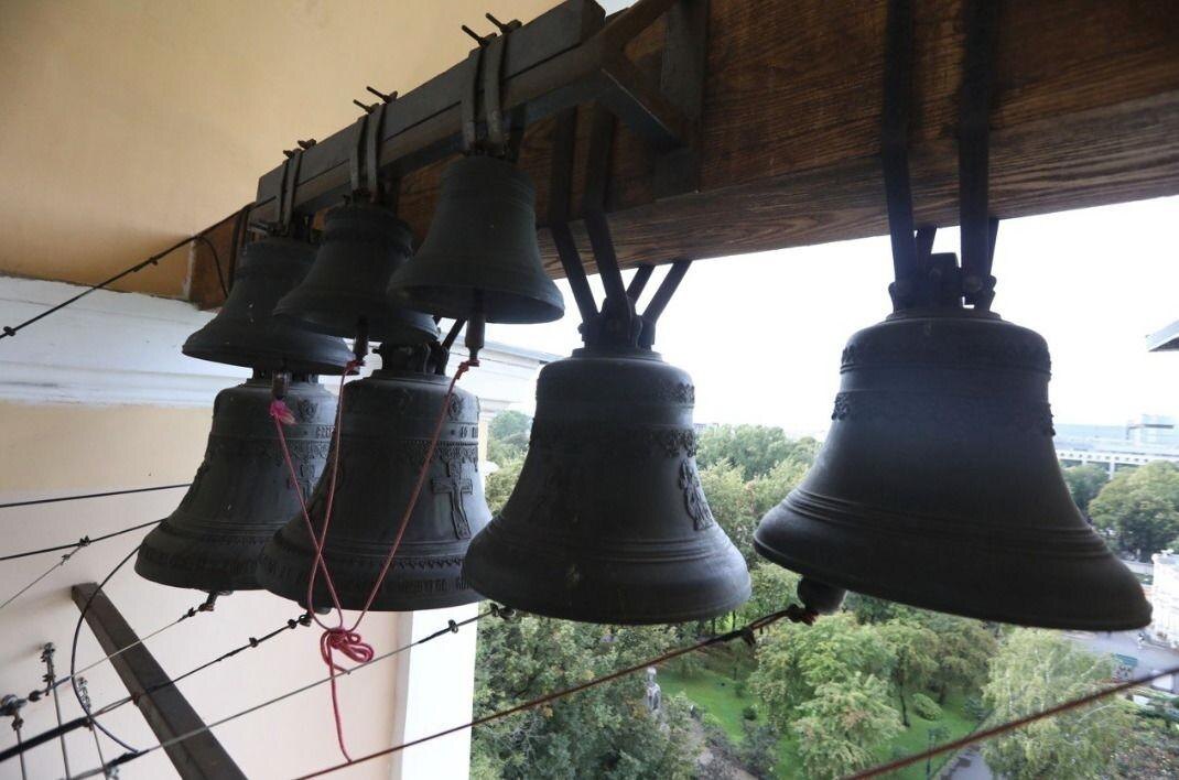 Фото: Александр Глуз/«Петербургский дневник»