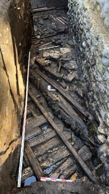 Фото: Маргарита Васильева/пресс-служба ВИЭМ