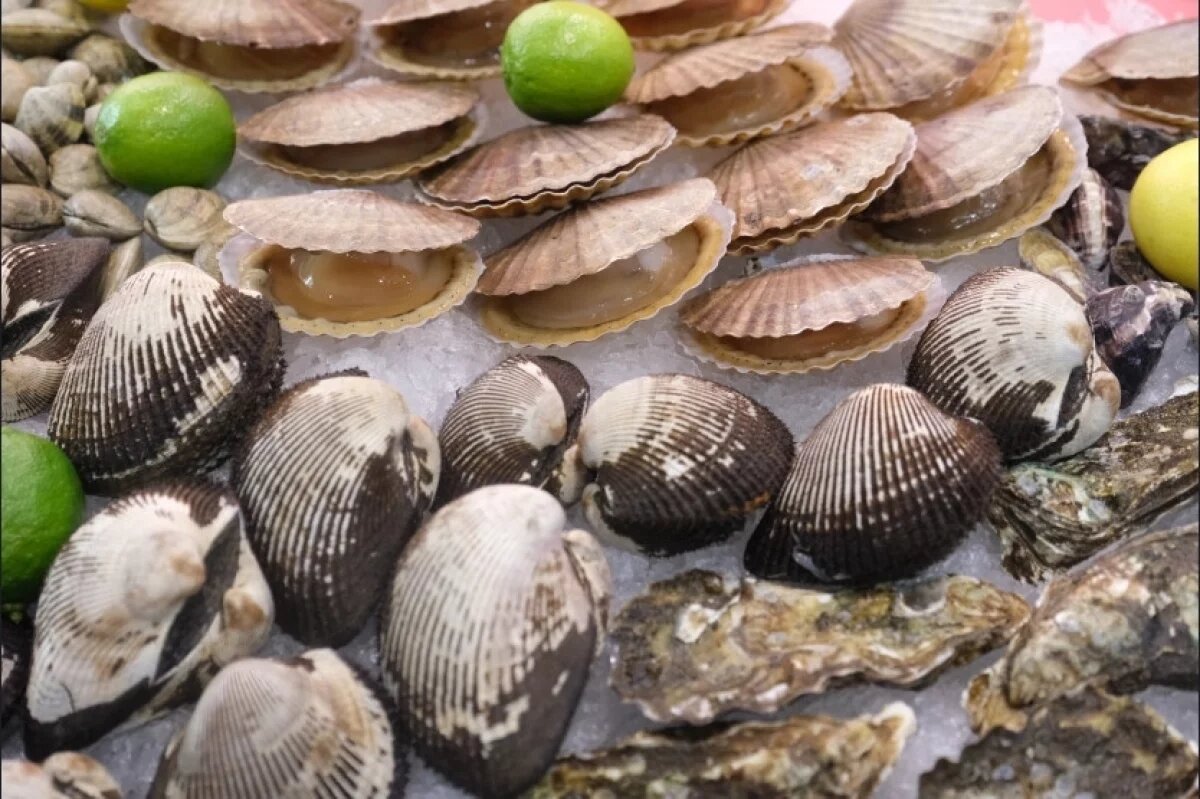    В Новосибирской области будут развивать гастрономический туризм