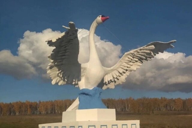    Белого лебедя почитают хонгодоры и хори. Фото: bur.aif.ru/ Алёна Шипицына