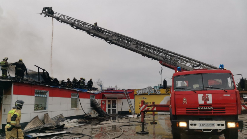    Фото: Telegram/МЧС Югры/mchs86UGRA; 5-tv.ru