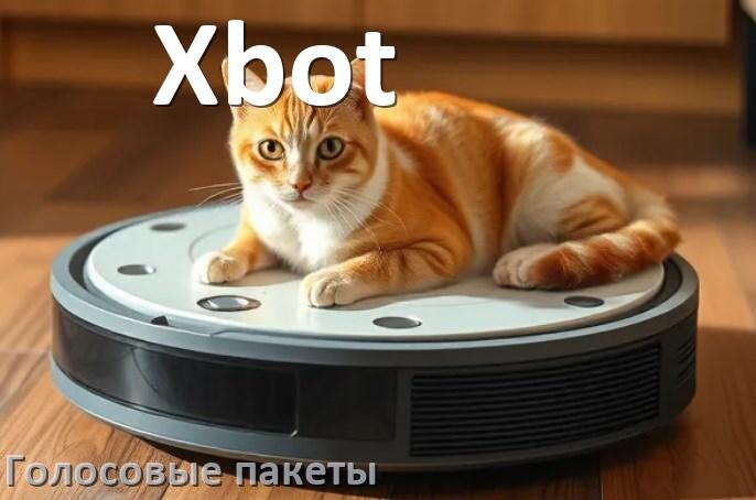 
Языковые голосовые пакеты для робота пылесоса Xbot скачать русскую озвучку