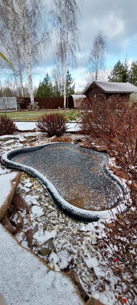 Прудик покрылся льдом.