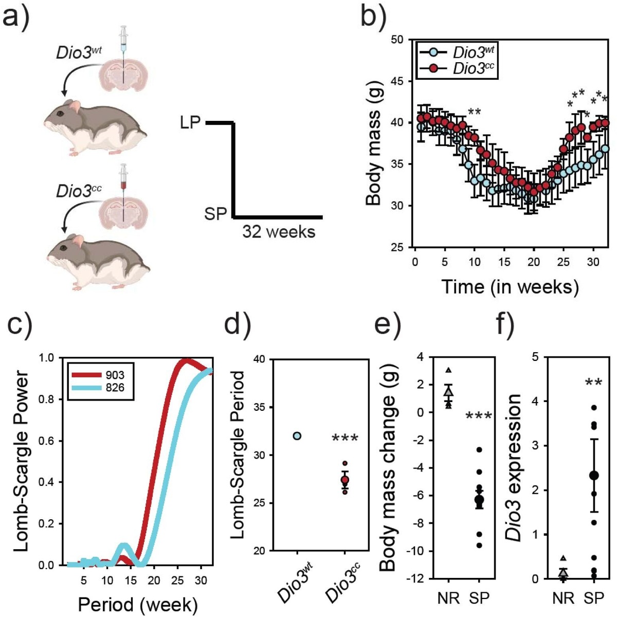    eLife (2025). DOI: 10.7554/elife.106383.2