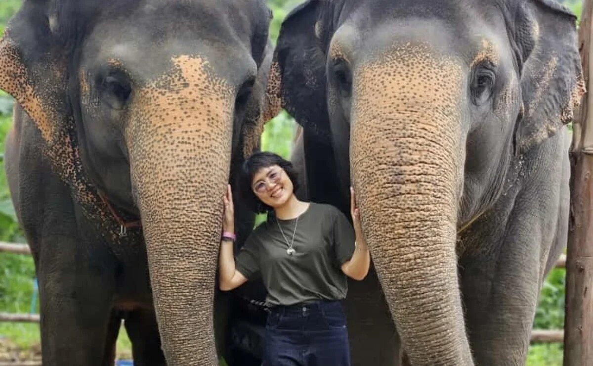    Эксклюзивно про Таиланд-2026: рекорды, новые рейсы, курорты и отели