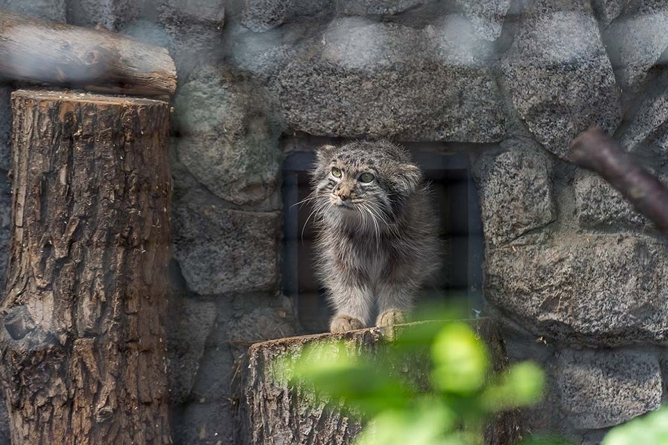    Выгодное предложение позволит скрасить холодные ноябрьские дни. Олег ЗОЛОТО
