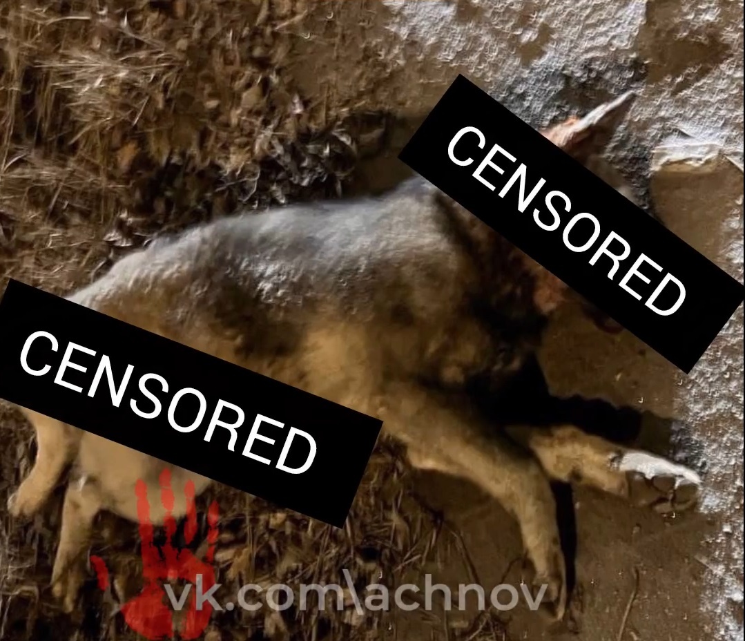 Кадр с видео очевидца