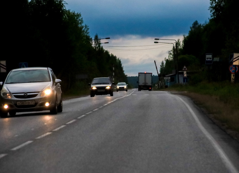     Фото: Elena Mayorova/globallookpress.com