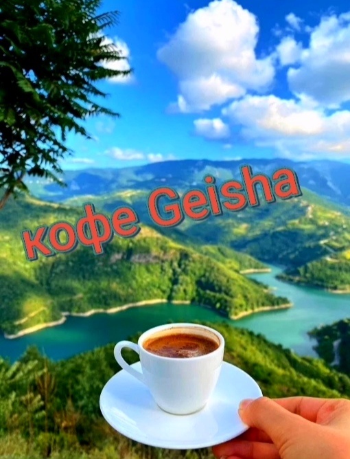 Утро для многих начинается с чашки кофе. Это одна из самых популярных и значимых привычек в современном обществе. Кофеин, который содержится в кофе, влияет на физиологию и умственную деятельность. 