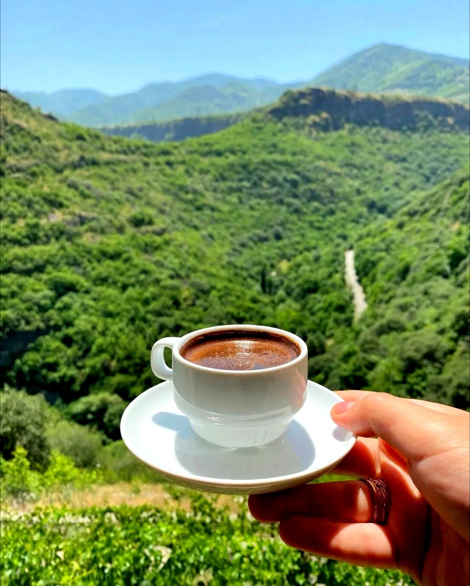 кофе Geisha на крутых склонах вулкана Бару в Панаме