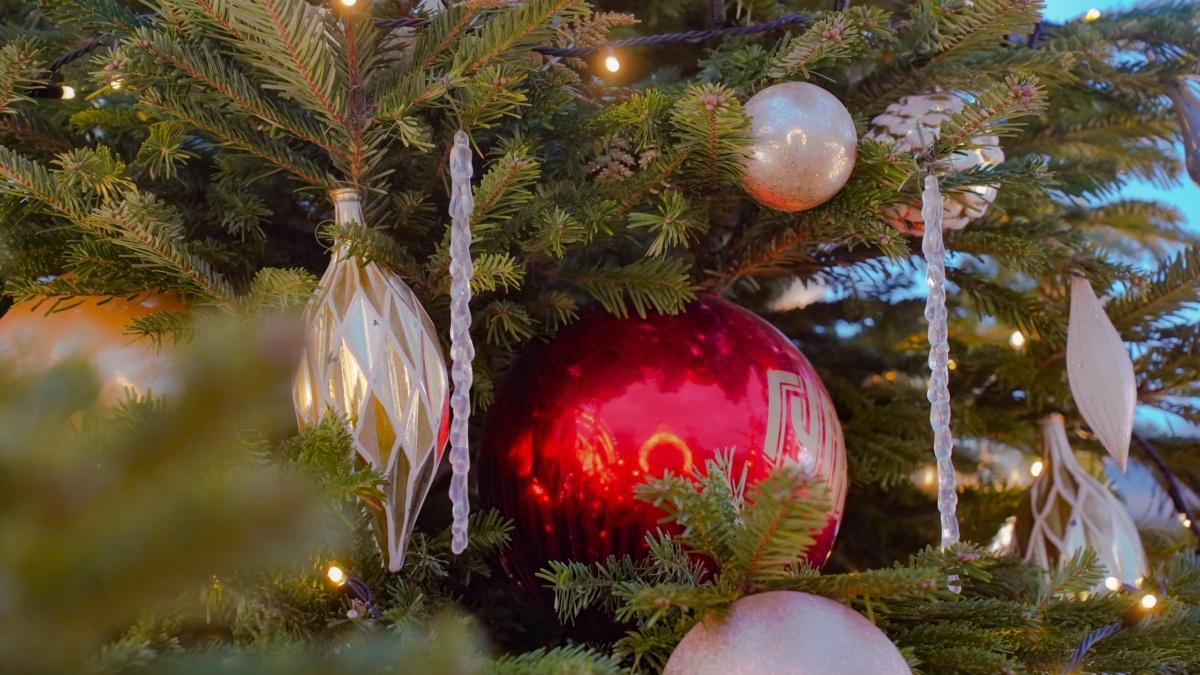 Светлана Мулыкина📷
