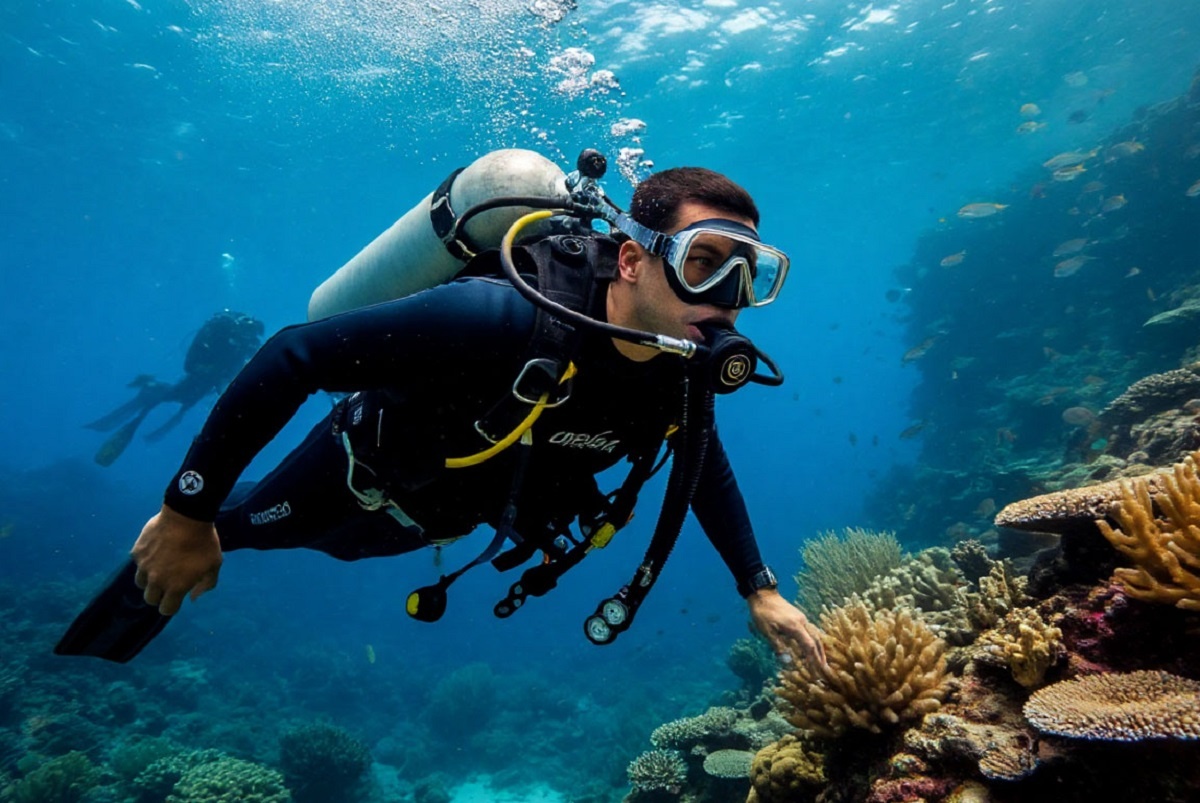    Фото: коллаж RuNews24.ru