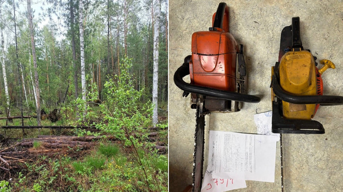    прокуратура