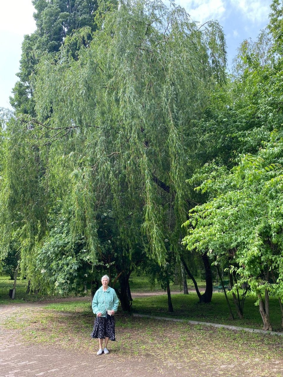 Курортный парк, Ессентуки