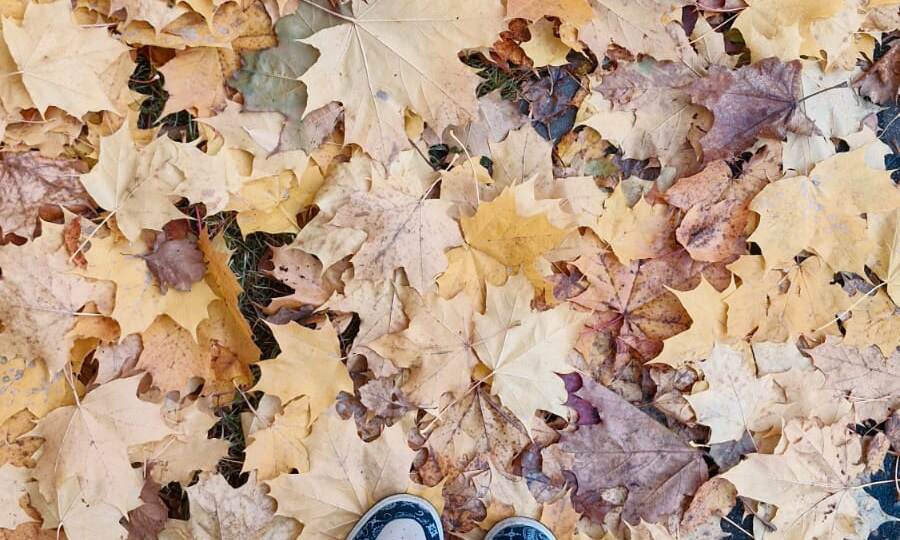 Как я перестала записывать ребенка в секции и начала слушать его