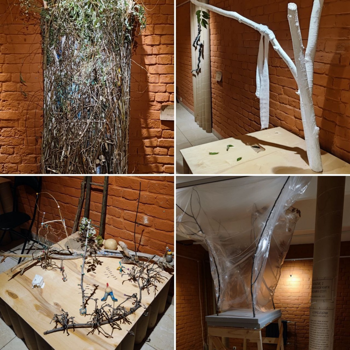 Временная выставка в подвальном помещении посвященная... ветке.