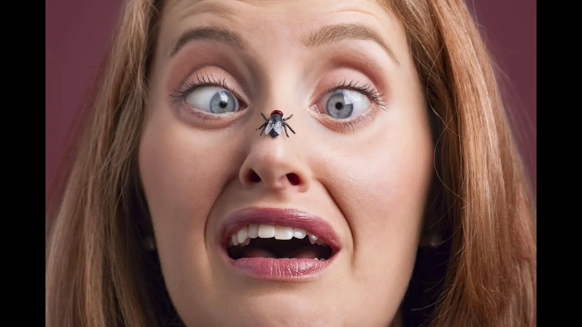 фото из интернета