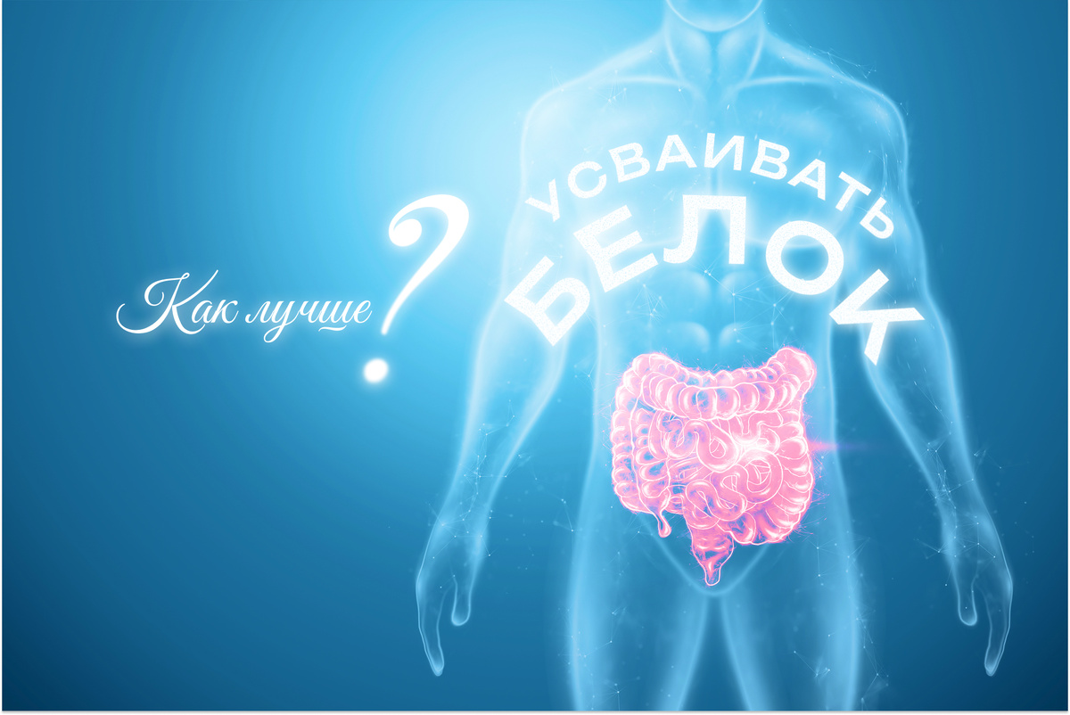 КАК ПОВЫСИТЬ УСВОЯЕМОСТЬ БЕЛКА?