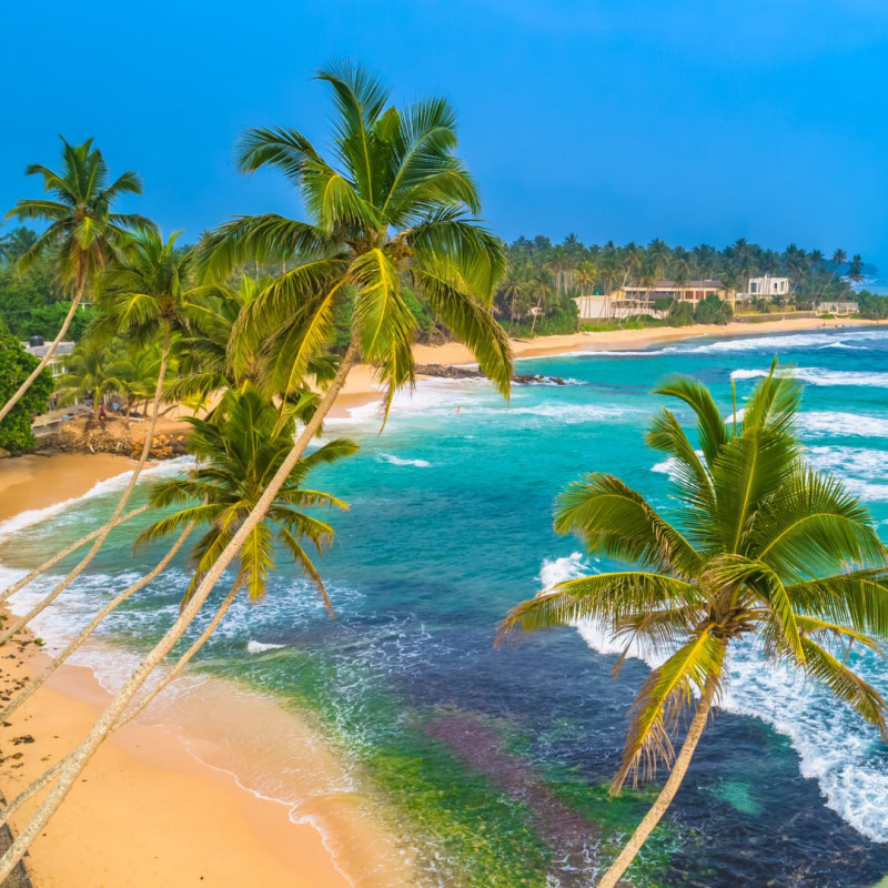 фото из личного архива автора