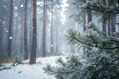    Фото: freepik. com