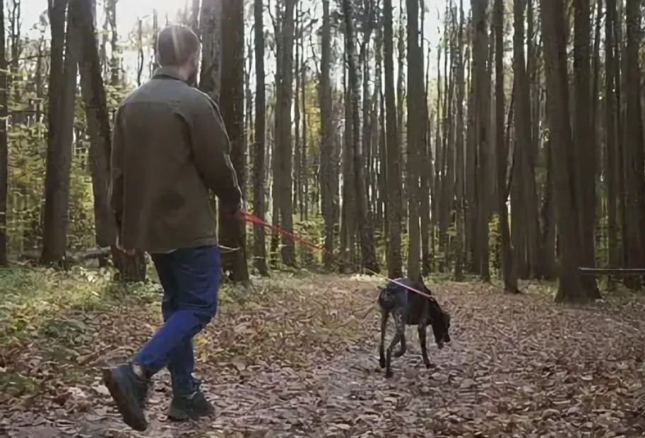 Фото носит иллюстративный характер: открытые источники