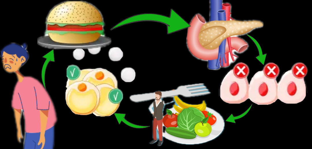 Метформин: фундаментальный инструмент в контроле диабета и его осложнений