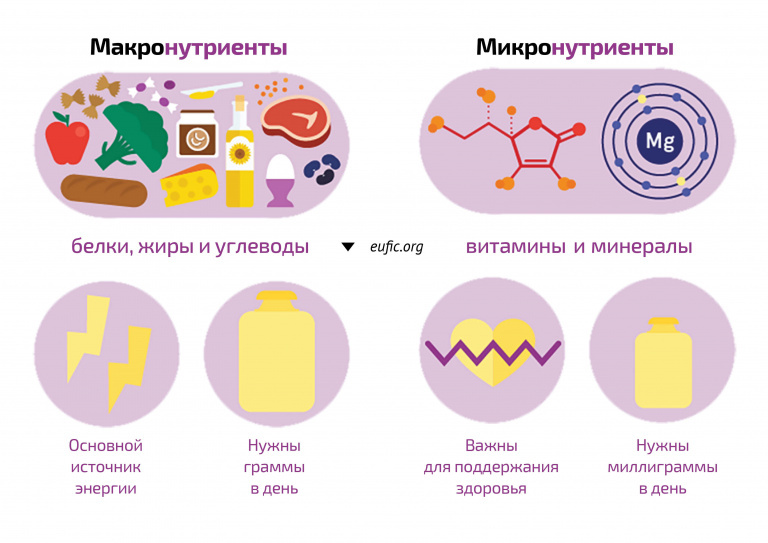 Введение
Актуальность темы обусловлена возрастающей ролью правильного питания в профилактике заболеваний и поддержании здоровья населения. В современном мире вопросы сбалансированного рациона становятся приоритетными для медицинской науки.

Макронутриенты: основа энергетического баланса
Макронутриенты — это основные компоненты пищи, необходимые организму в значительных количествах:

Белки

Являются строительным материалом для клеток

Участвуют в синтезе гормонов и ферментов

Обеспечивают иммунную защиту

Рекомендуемая норма: 1-1.5 г на кг веса

Жиры

Основной источник энергии

Участвуют в синтезе гормонов

Обеспечивают всасывание жирорастворимых витаминов

Оптимальное соотношение насыщенных и ненасыщенных жиров

Углеводы

Главный источник энергии

Делятся на простые и сложные

Влияют на уровень глюкозы в крови

Рекомендуемая доля в рационе: 50-60%

Микронутриенты: ключевые элементы здоровья
Микронутриенты — вещества, необходимые организму в малых количествах:

Витамины

Жирорастворимые: A, D, E, K

Водорастворимые: группа B, C

Участвуют во всех метаболических процессах

Обеспечивают работу иммунной системы

Минералы

Макроэлементы: кальций, магний, калий

Микроэлементы: железо, цинк, йод

Регулируют водно-солевой баланс

Участвуют в кроветворении

Современные исследования
Научные данные показывают:

Дефицит нутриентов связан с хроническими заболеваниями

Избыток отдельных компонентов может быть опасен

Сбалансированное питание продлевает активную жизнь

Практические рекомендации
Оптимальный рацион должен включать:

Разнообразные продукты

Сезонную пищу

Цельнозерновые продукты

Свежие овощи и фрукты

Нежирные источники белка

Заключение
Сбалансированное потребление макро- и микронутриентов — ключ к:

Поддержанию здоровья

Профилактике заболеваний

Повышению качества жизни

Увеличению продолжительности активного периода жизни

Перспективы исследований
Будущие направления:

Изучение взаимодействия нутр