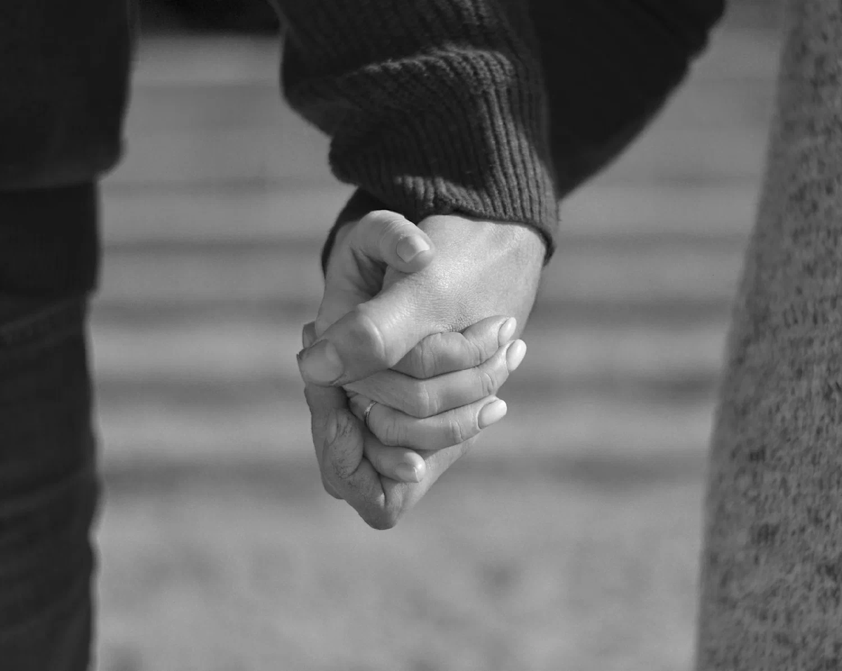 фото из открытых источников интернет