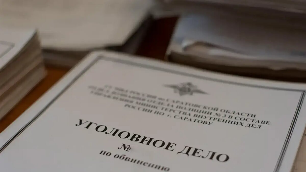    Уголовное дело. © Соцсети