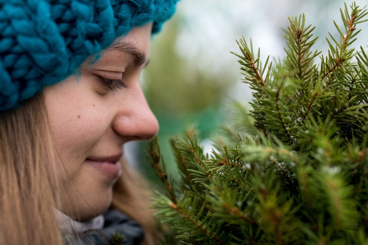 Фото © Сергей Бобылев / ТАСС