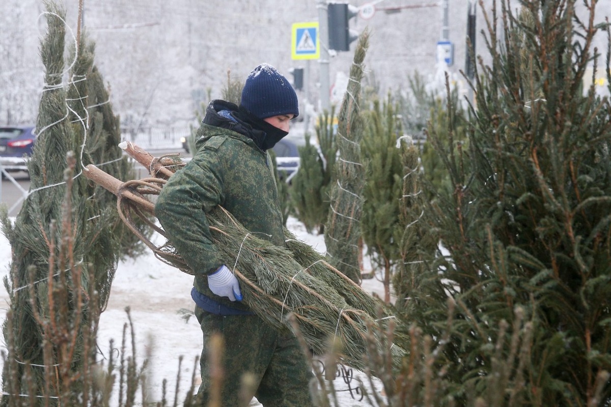 Фото © Егор Алеев / ТАСС
