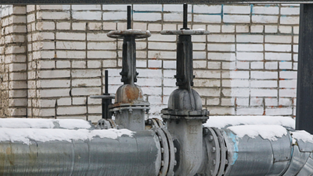    Фото: Alexey Belkin/Business Online/Globallookpress