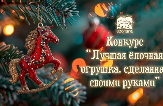    Конкурс "Лучшая елочная игрушка" // Фото с официального сайта Ростовского зоопарка