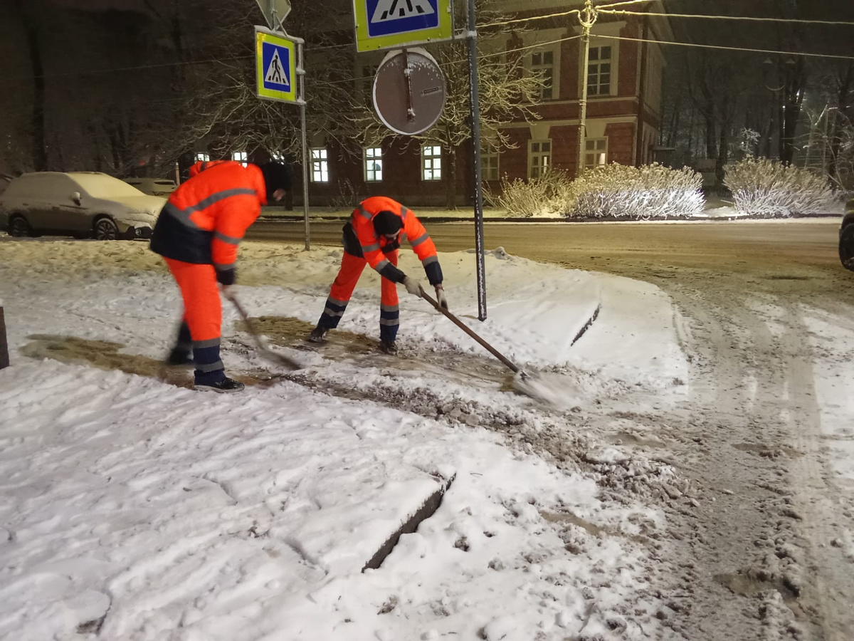    Фото: gov.spb.ru