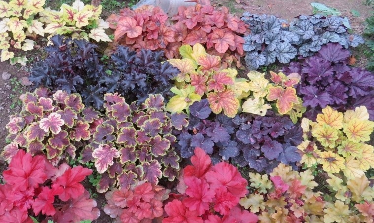 фото из открытых источников