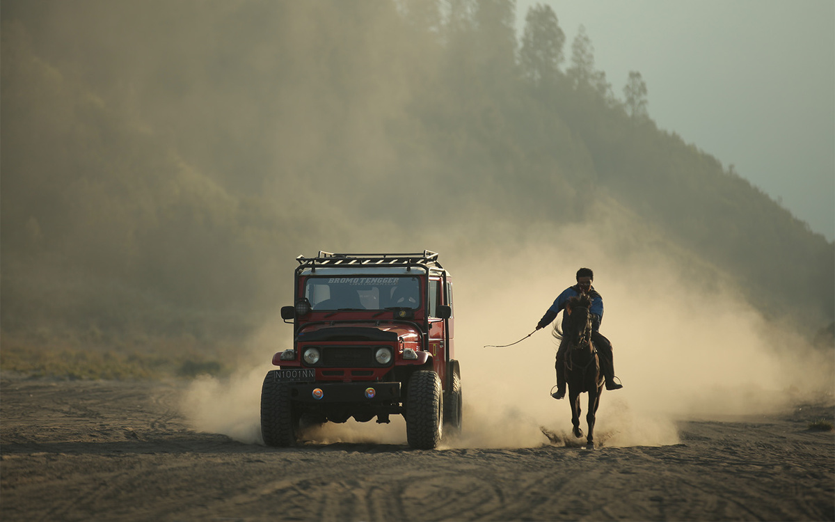 Hari Sulistiawan / Shutterstock / FOTODOM📷Касательно вопроса «исходной» лошадиной силы до сих пор идут споры. А так как породы этих животных радикально отличаются, исследователи-энтузиасты пришли к некой общей дельте. Сегодня считается, что в одной настоящей лошади — от 0,3 до 3 л.с.
