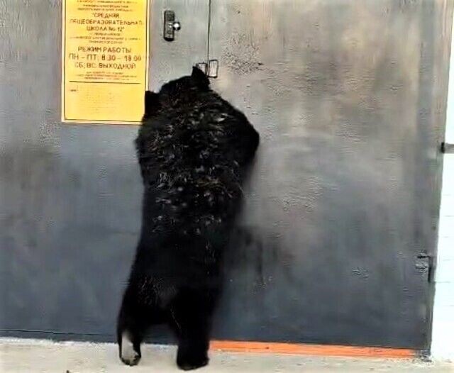     / Источник: Кадр из видео