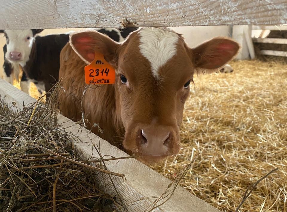 пресс-служба правительства Иркутской области